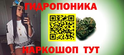 spice Мариинск