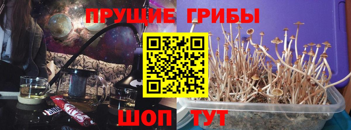 Галлюциногенные грибы мицелий Усинск